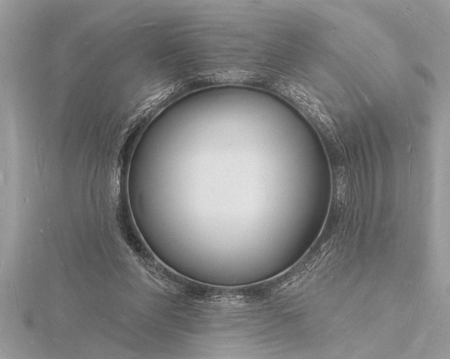 X0000116130206200912071229