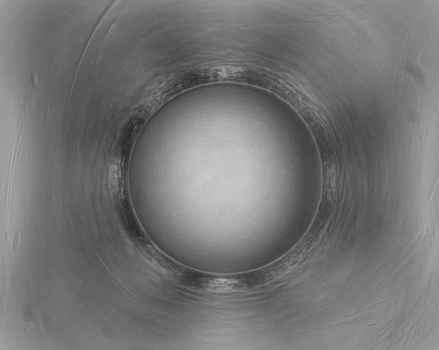 X0000116130222200912071229