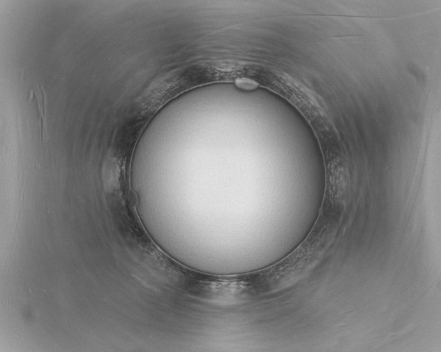 X0000116130225200912071229