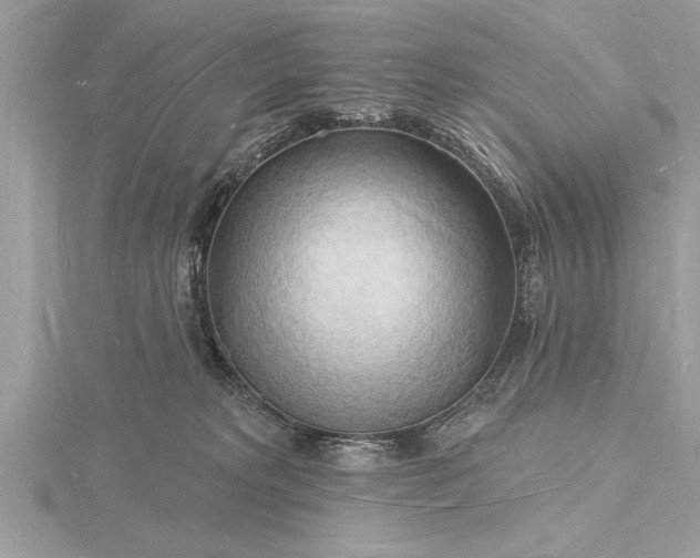 X0000116130229200912071229
