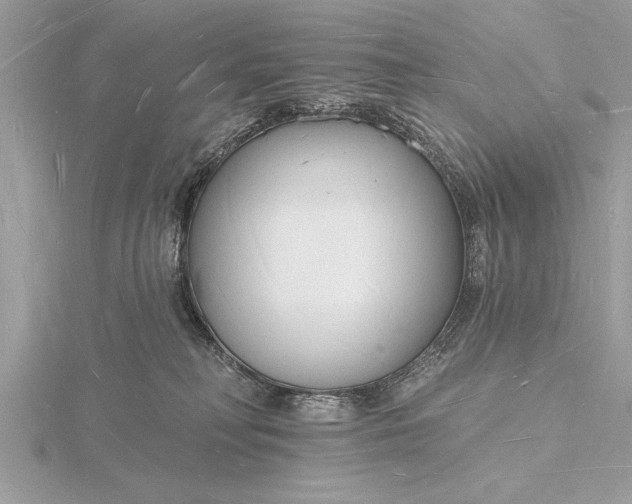 X0000116130230200912071229