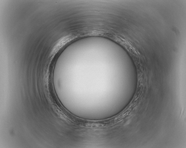 X0000116130242200912071228