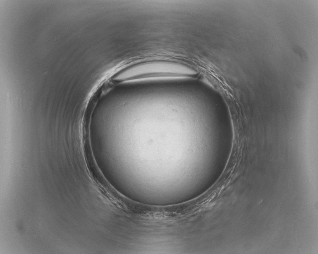 X0000116130244200912071228