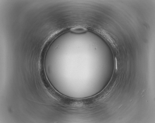 X0000116130252200912071228