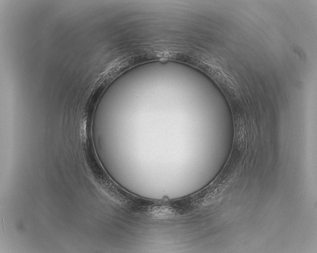 X0000116130262200912071228