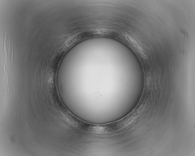 X0000116130265200912071228