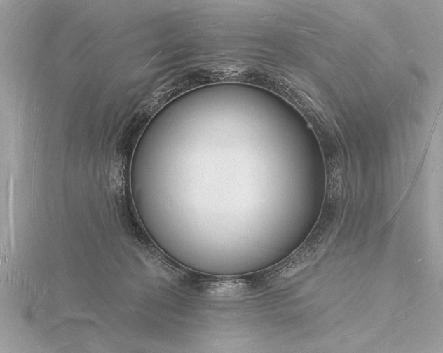 X0000116130274200912071228