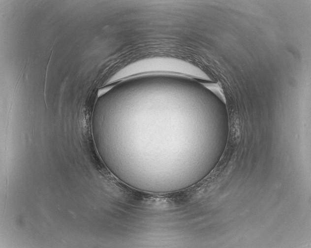 X0000116130276200912071229
