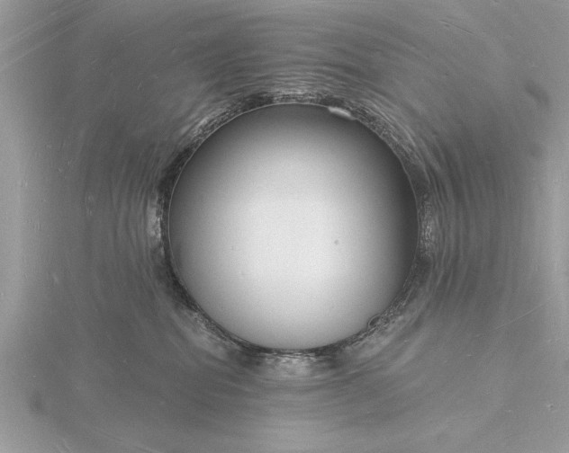X0000116130282200912071229