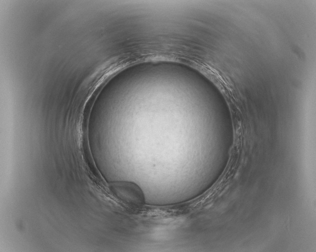 X0000116130290200912071228