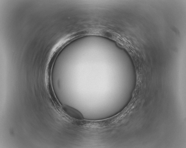 X0000116130294200912071228