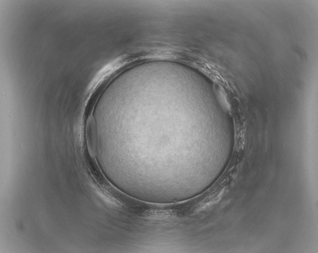 X0000116130296200912071228