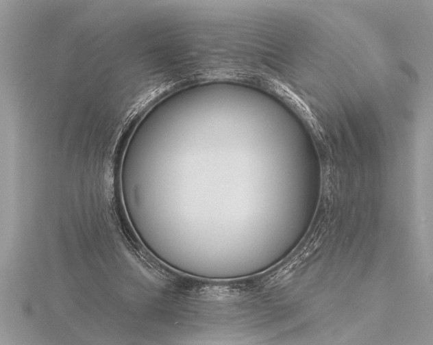 X0000116130298200912071228