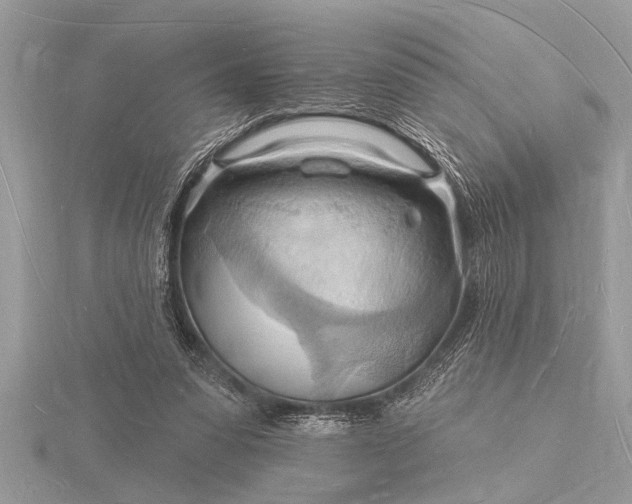 X0000116130303200912071228