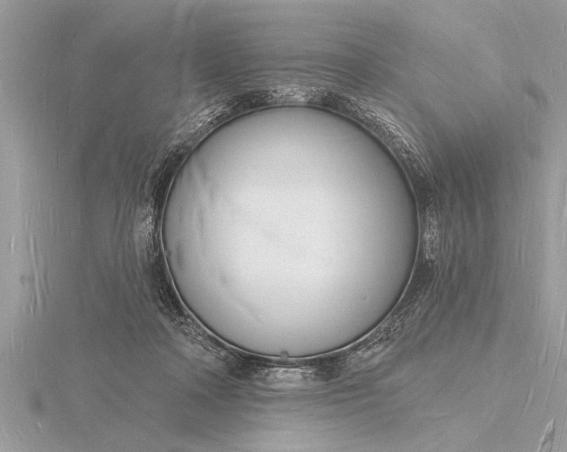 X0000116130314200912071228
