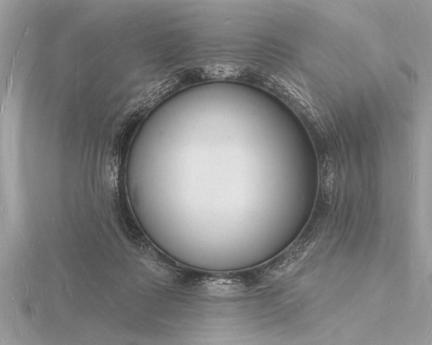X0000116130315200912071228