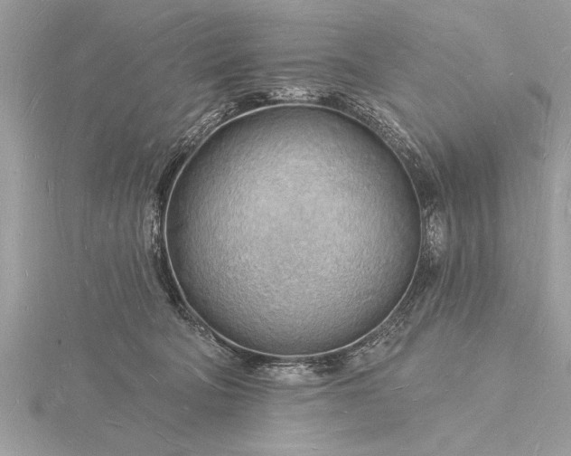 X0000116130322200912071228