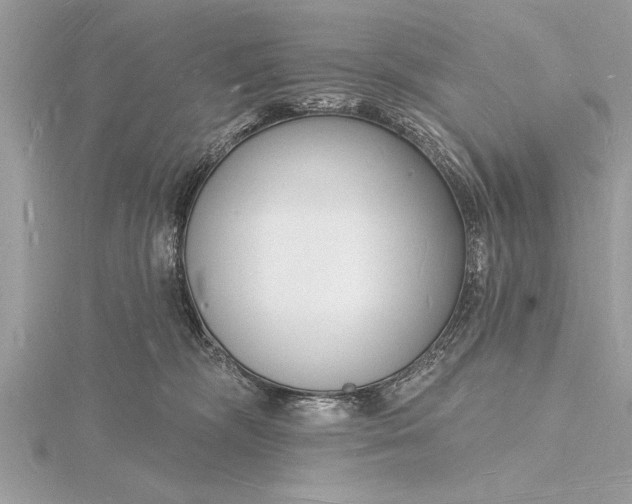 X0000116130326200912071228