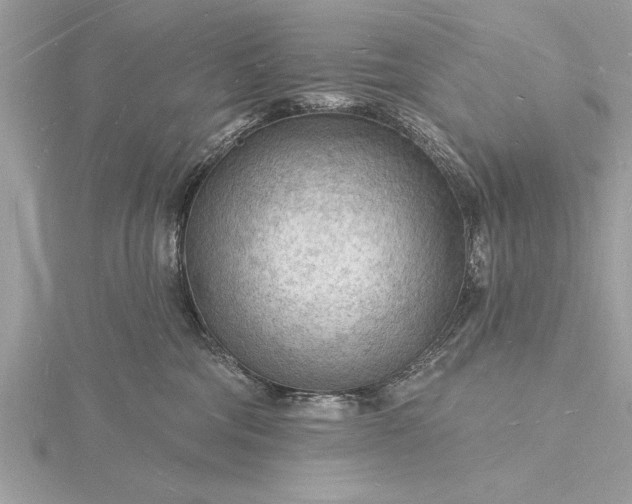 X0000116130330200912071228