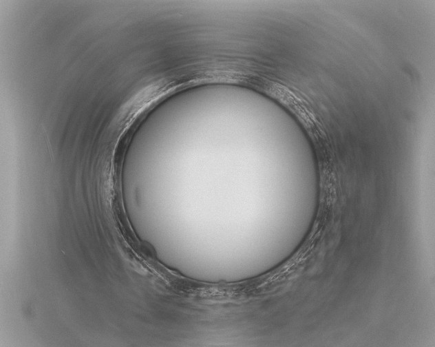 X0000116130338200912071227