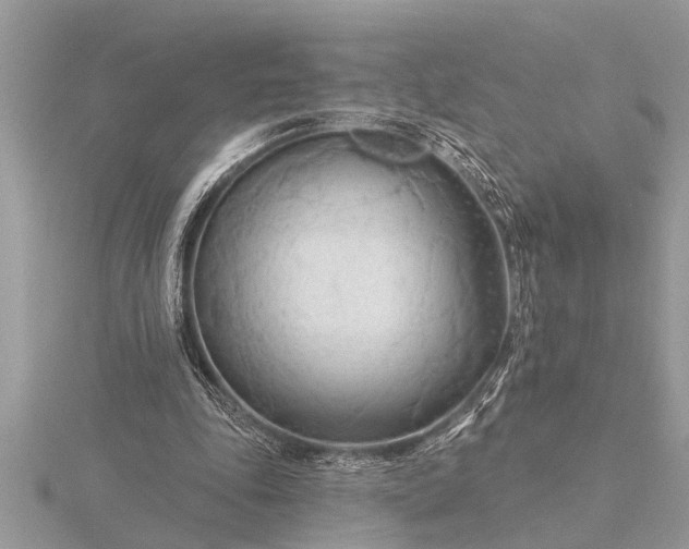 X0000116130343200912071227