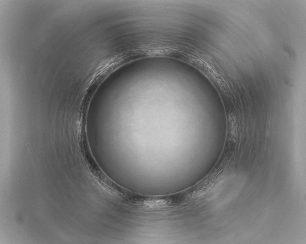 X0000116130357200912071227