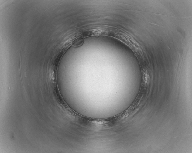 X0000116130375200912071227