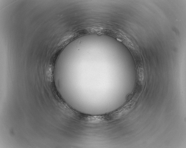 X0000116130378200912071227