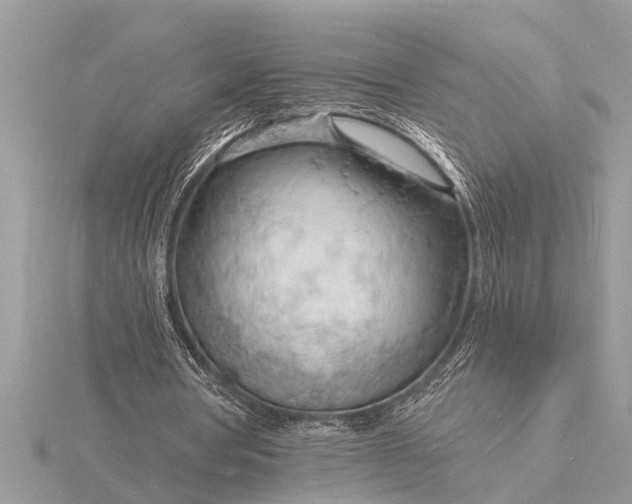 X0000116130386200912071227