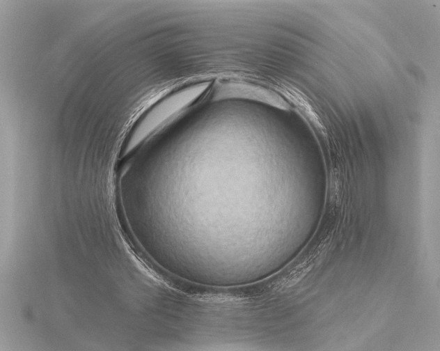 X0000116130389200912071227