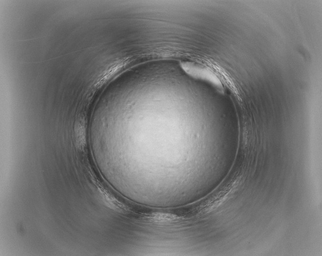 X0000116130393200912071227