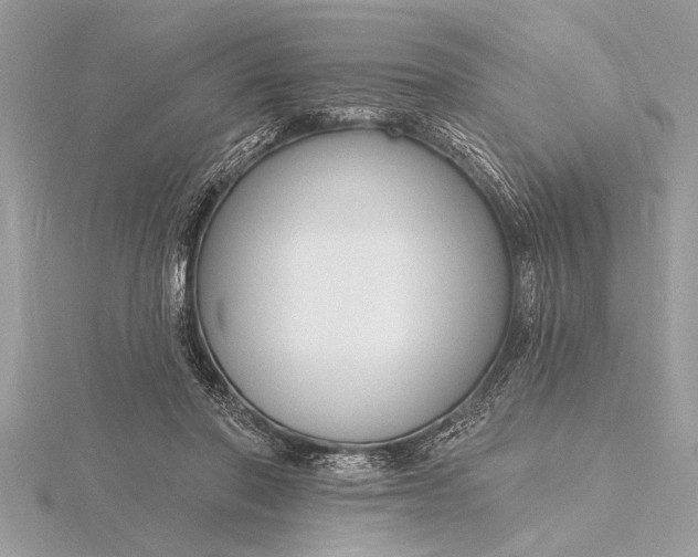 X0000116130406200912071227
