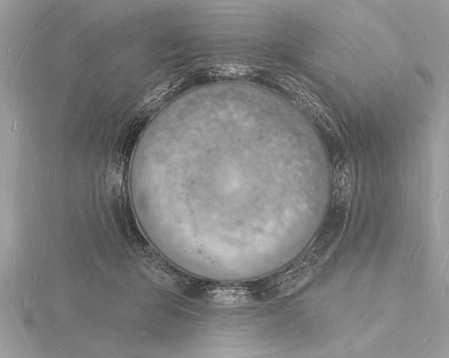 X0000116130415200912071226