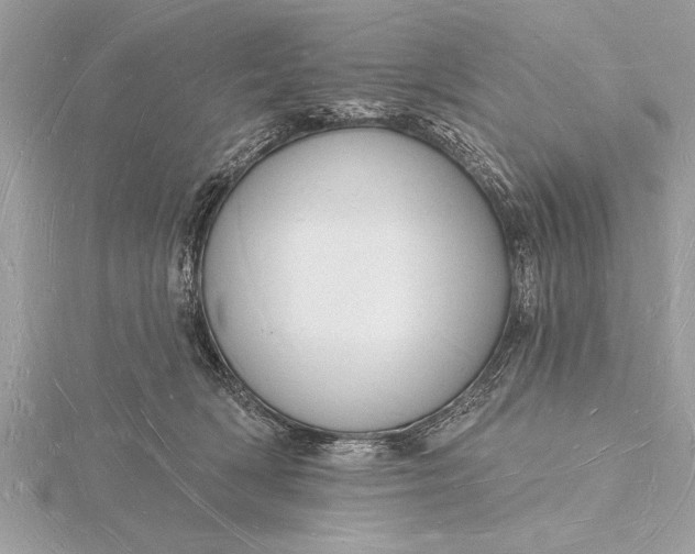 X0000116130418200912071226