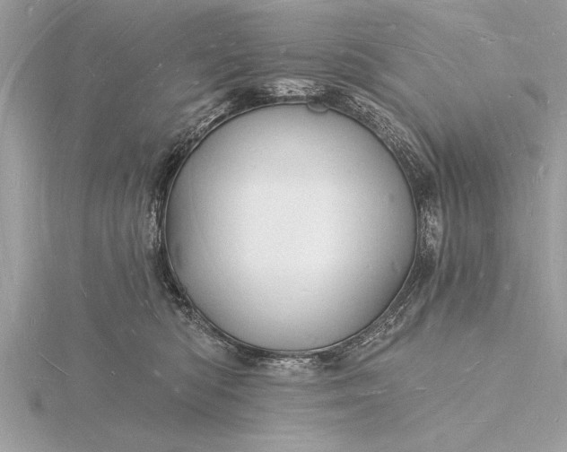 X0000116130422200912071226