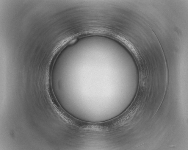 X0000116130437200912071226