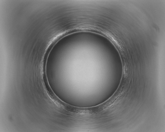X0000116130438200912071226