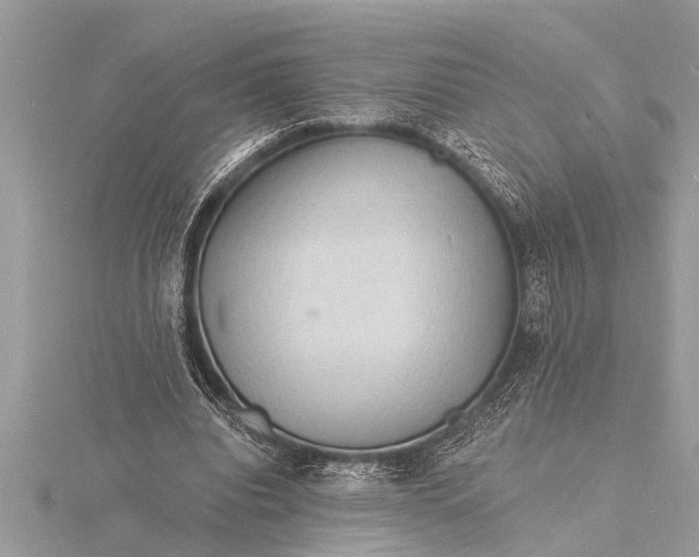 X0000116130440200912071226