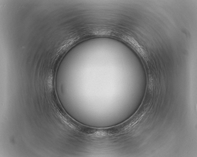 X0000116130441200912071226