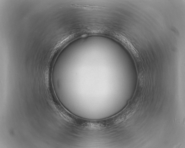 X0000116130442200912071226
