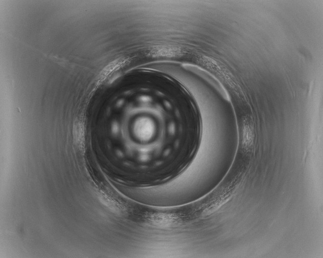 X0000116130444200912071226