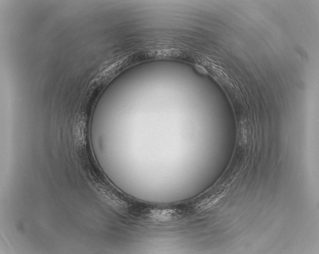 X0000116130450200912071226