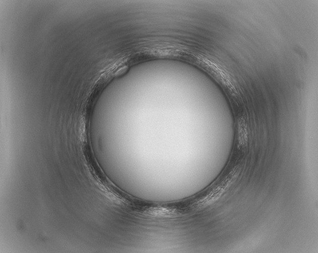 X0000116130453200912071226