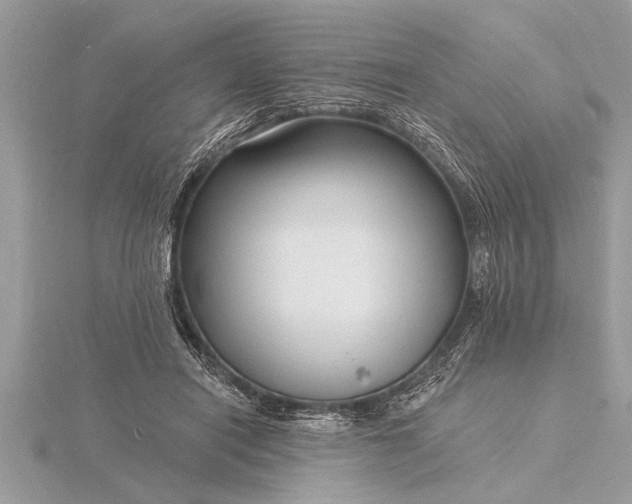 X0000116130454200912071226