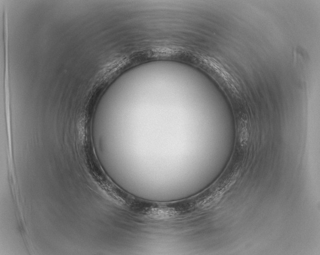 X0000116130455200912071226