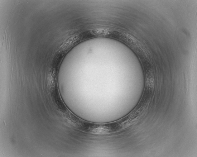X0000116130460200912071226