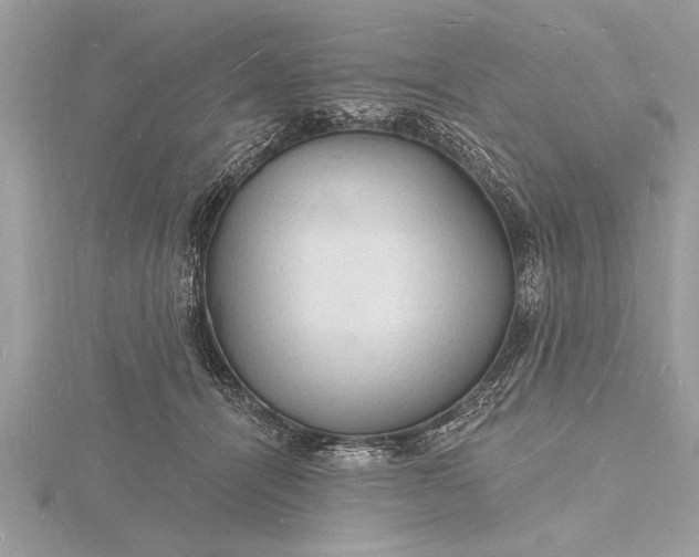 X0000116130464200912071226