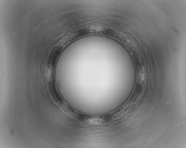 X0000116130468200912071226