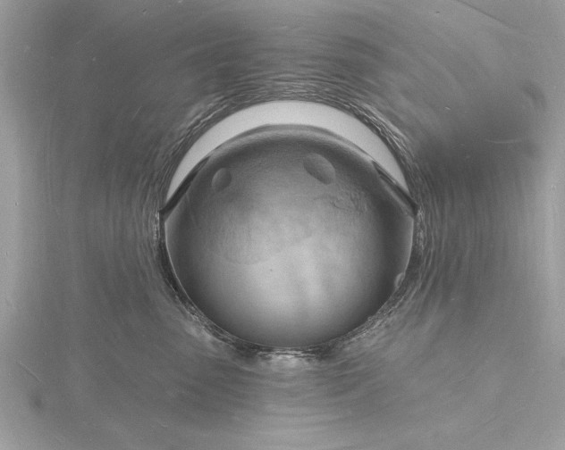 X0000116130475200912071226