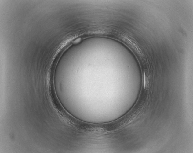 X0000116130483200912071226